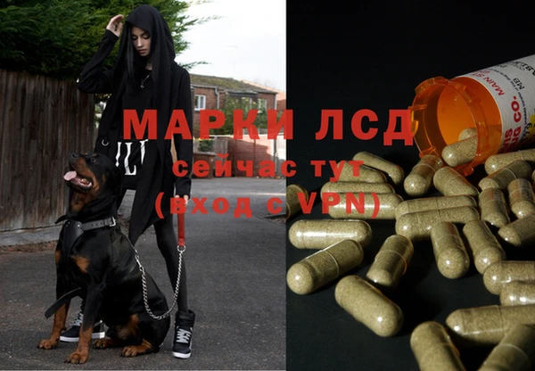 mdma Няндома