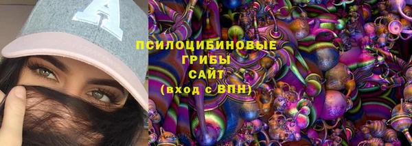mdma Няндома