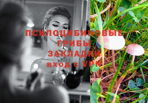 соль курить ск Нязепетровск
