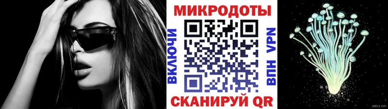 Купить закладки  Райчихинск  Галлюциногенные грибы MAGIC MUSHROOMS 